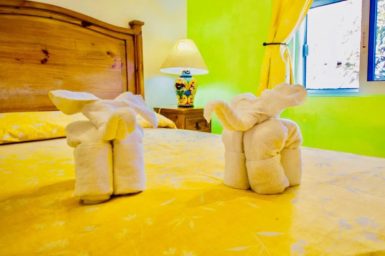Bed & Breakfast Deluxe Family Budget Balcony Room With Pool Playacar II Playa del Carmen Messico